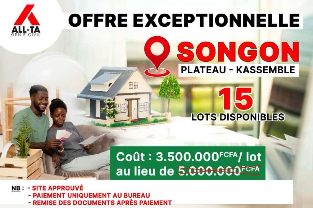 Promotion 3